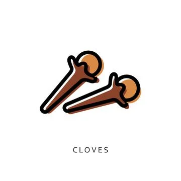 Vector line drawing handmade clove isolated on white background. sketches of  Illustrazione stock