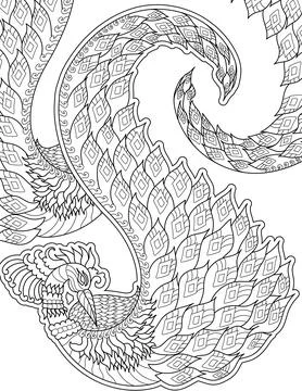 Vector line drawing peacock detailed pattern concept flowy tail. Digital lineart Stock Illustration