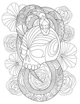 Vector line drawing tattoo snake wrapping skull decorated flower pattern Illustrazione stock