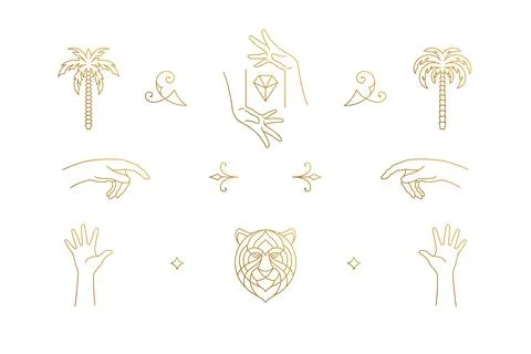 Vector line elegant decoration design elements set - tiger head and gesture.. Stock Illustration