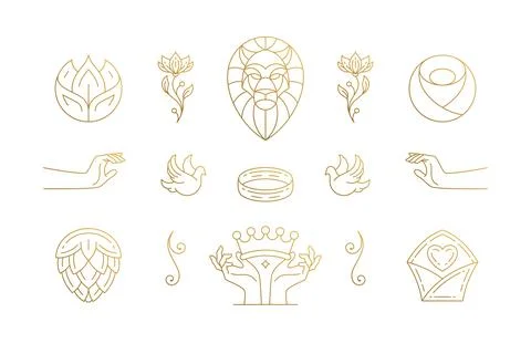 Vector line elegant decoration design elements set - lion head and gesture .. 스톡 일러스트