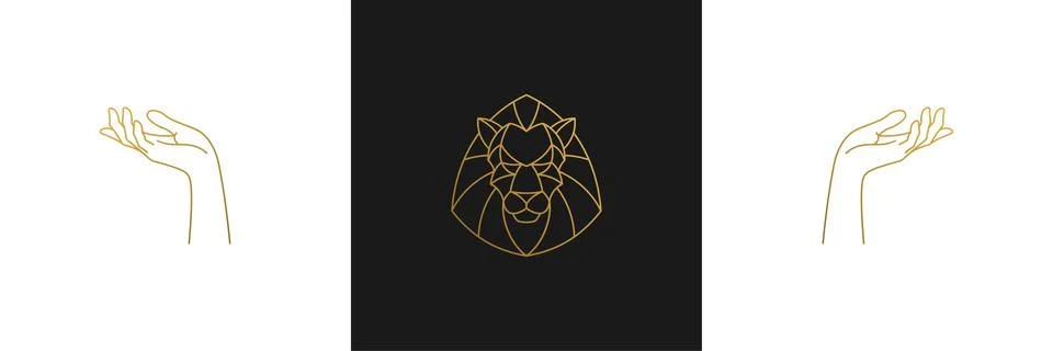 Vector line elegant decoration design elements set - lion head and gesture .. 스톡 일러스트