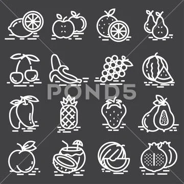 Vector line fruit icon collection Stock Illustration