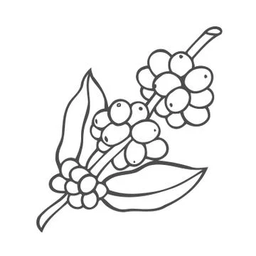 Vector line icon of coffee tree. Illustrazione stock