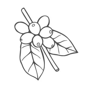 Vector line icon of coffee tree. Illustrazione stock