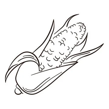 Vector line icon of corn. Corn line drawing. Flat illustration of Corn vector Stock Illustration