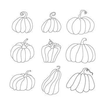 Vector line icon for pumpkin Stock-Illustration