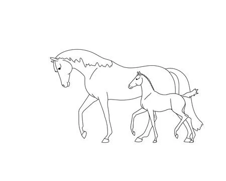 Vector line images, mare with foal Stock Illustration