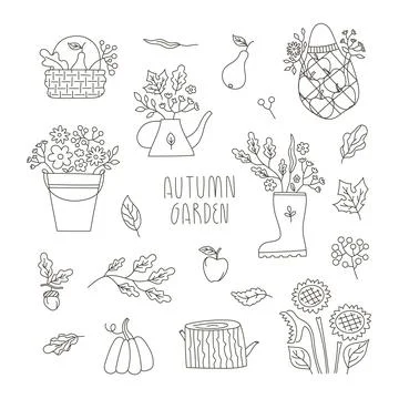 Vector Line set with autumn garden bouquet compositions for card, invitation Stock Illustration