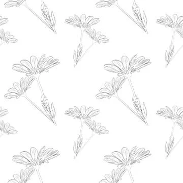 Vector linear floral print. Monochrome seamless pattern. Stock Illustration