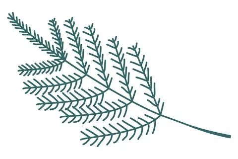 Vector linear Green spruce branch. Simple and primitive geometry illustration is Stock Illustration