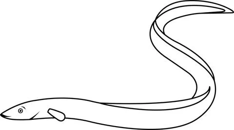 Vector linear icon of eel fish, proper nutrition, seafood, seafood delicaci.. Stock Illustration