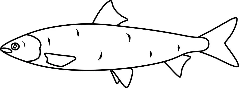 Vector linear icon of tuna fish, proper nutrition, seafood, seafood delicac.. Stock Illustration