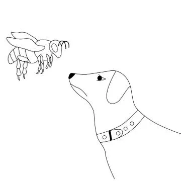 Vector linear image of a dog and wasp with thin black contours. For the design Stock Illustration