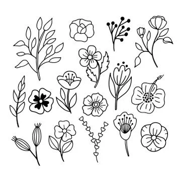 Vector linear image of leaves and flowers on a white background. For the design Stock Illustration