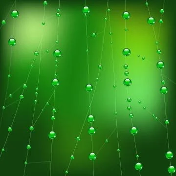 Vector lines of spider web in dew Stock Illustration