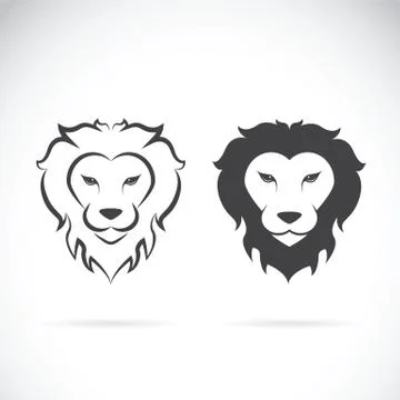 Vector of a lion head design on white background. Wild Animals. Stock Illustration