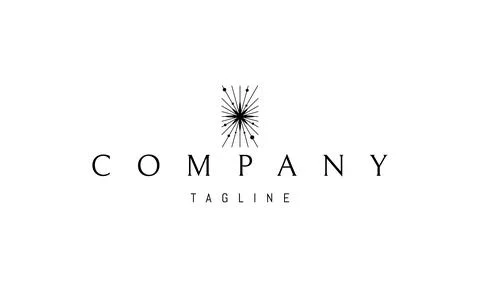 A vector logo with an abstract image of a big bang in the form of a shining star Stock Illustration