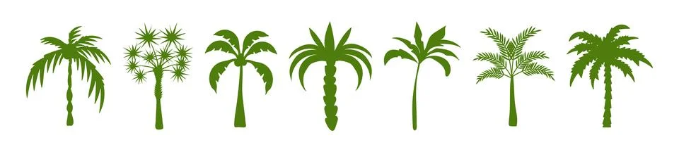 Vector logo and print design templates with summer palms and tropical hand .. Stock Illustration