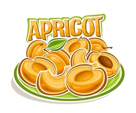 Vector logo for Apricot Stock Illustration