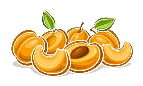 Vector logo for Apricot Illustrazione stock