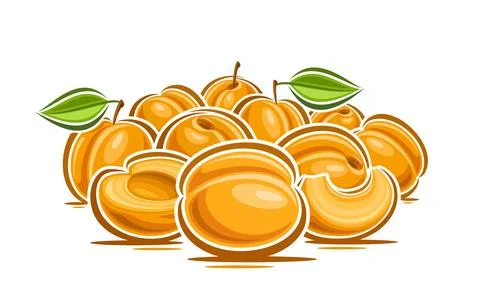 Vector logo for Apricots Stock Illustration