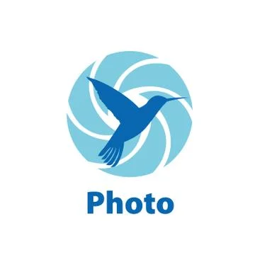Vector logo camera 스톡 일러스트