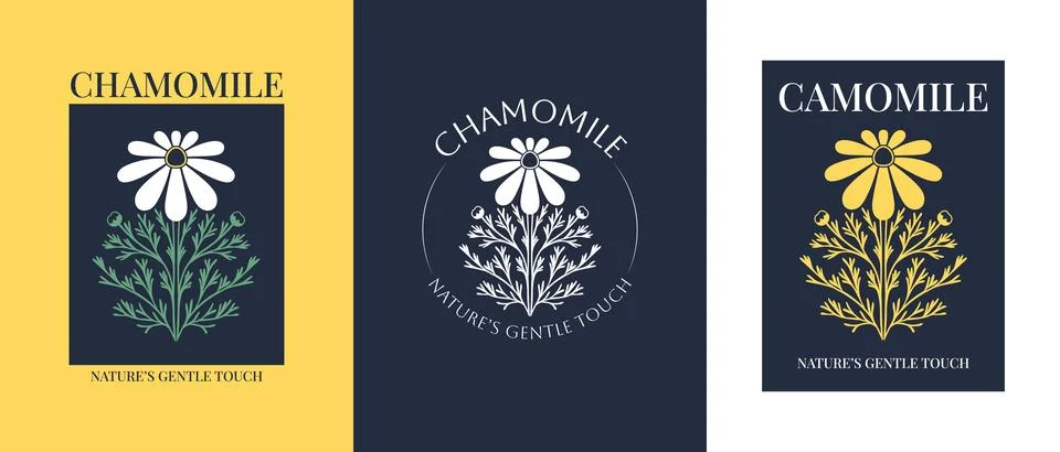 Vector logo of chamomile flower. Modern hand drawn vector daisy icons. Bran.. Stock Illustration