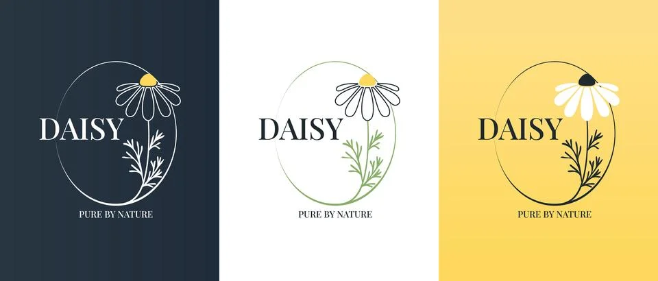 Vector logo of chamomile flower. Modern hand drawn vector daisy icons. Bran.. Stock Illustration