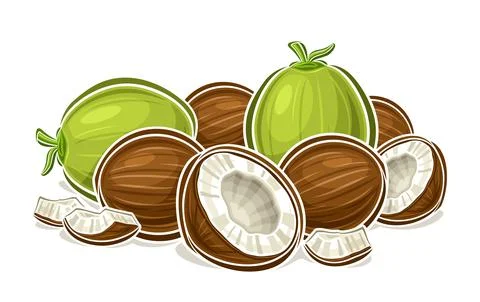 Vector logo for Coconut Illustrazione stock