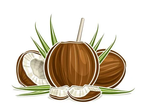 Vector logo for Coconut Water Illustrazione stock