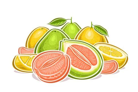Vector logo for Colorful Pomelos Stock Illustration