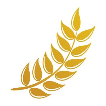 Vector logo design and elements of wheat grain, wheat ears, wheat seed, or wh Illustrazione stock