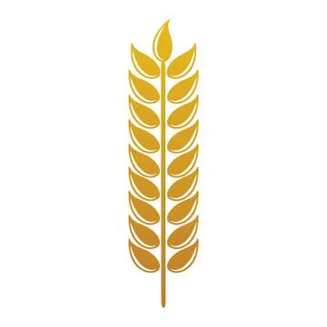 Vector logo design and elements of wheat grain, wheat ears, wheat seed, or wh Stock Illustration
