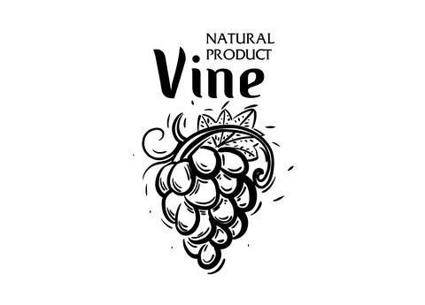 Vector logo drawn by hand. Bunch of grapes for making wine Stock Illustration