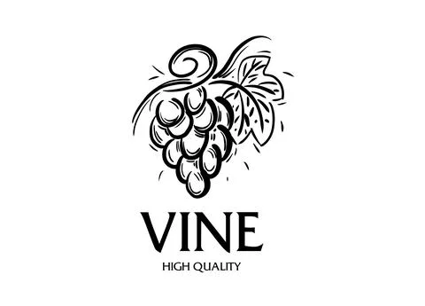 Vector logo drawn by hand. Bunch of grapes for making wine Stock Illustration