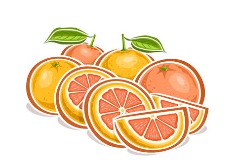 Vector logo for Grapefruits Stock Illustration