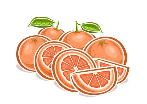 Vector logo for Grapefruits Stock Illustration
