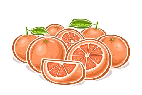 Vector logo for Grapefruits Stock Illustration