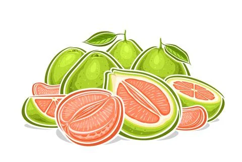 Vector logo for Green Pomelos Stock Illustration