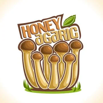 Vector logo for Honey Agarics Stock Illustration