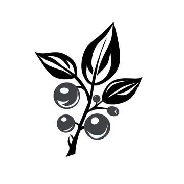 Vector logo illustration of berries and twigs in black and white colors 스톡 일러스트