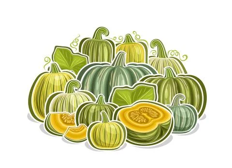 Vector logo for Kabocha Stock Illustration