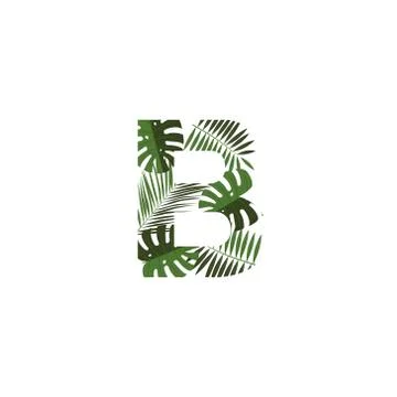 Vector Logo Letter B Tropical Leaves イラスト素材