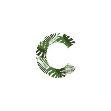 Vector Logo Letter C Tropical Leaves Stockillustratie