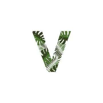 Vector Logo Letter V Tropical Leaves イラスト素材
