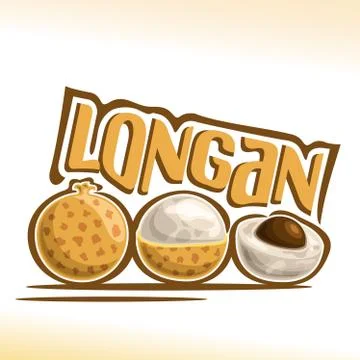 Vector logo for Longan Fruit Stock Illustration