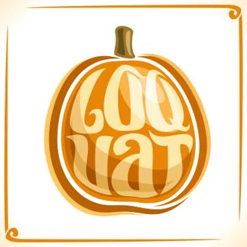 Vector logo for Loquat Fruit Stock Illustration