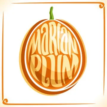 Vector logo for Marian Plum Stock Illustration