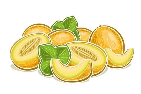 Vector logo for Melon Stock Illustration